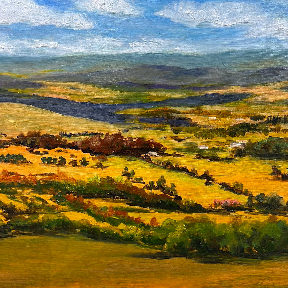 Dylan Cooper - Mount Canobolas II