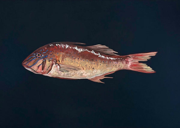 Monique Correy - Champ