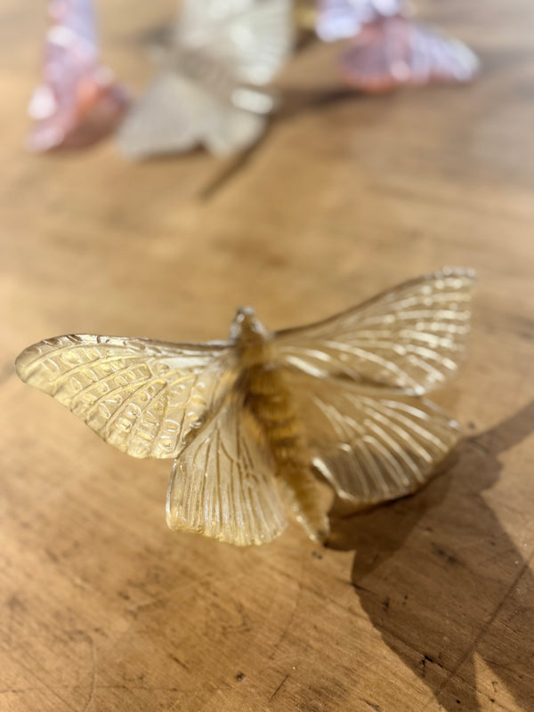 Luke Jacomb Studio - Moth (Wings Out - Bronze)