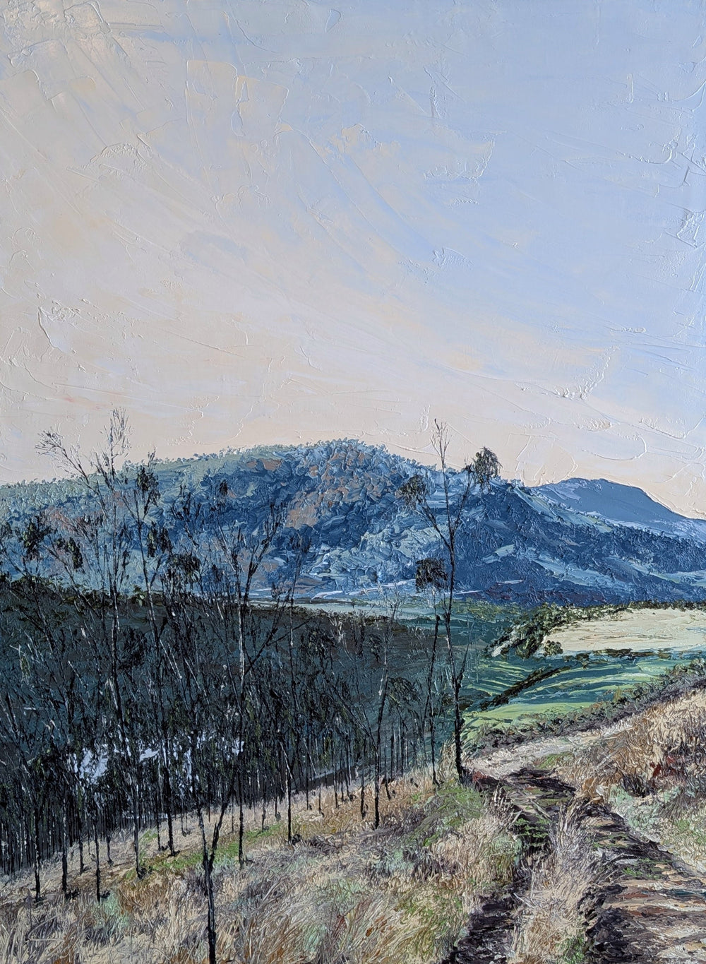 Sam Askin - A path to somewhere