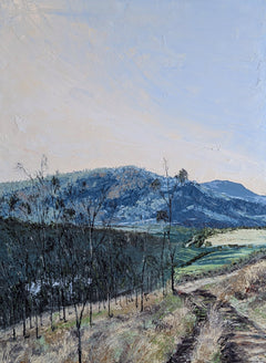 Sam Askin - A path to somewhere