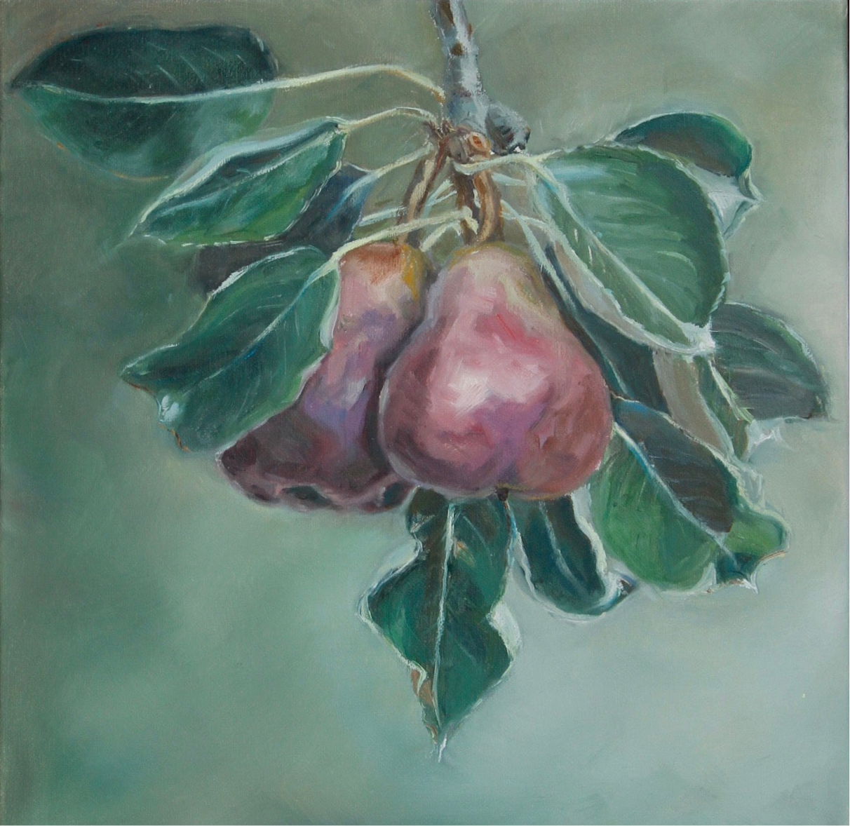 Eva Stockdale - Pears of Heide