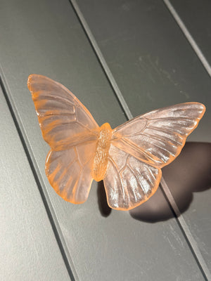 Luke Jacomb Studio - Classic Butterfly Admiral (Peach)