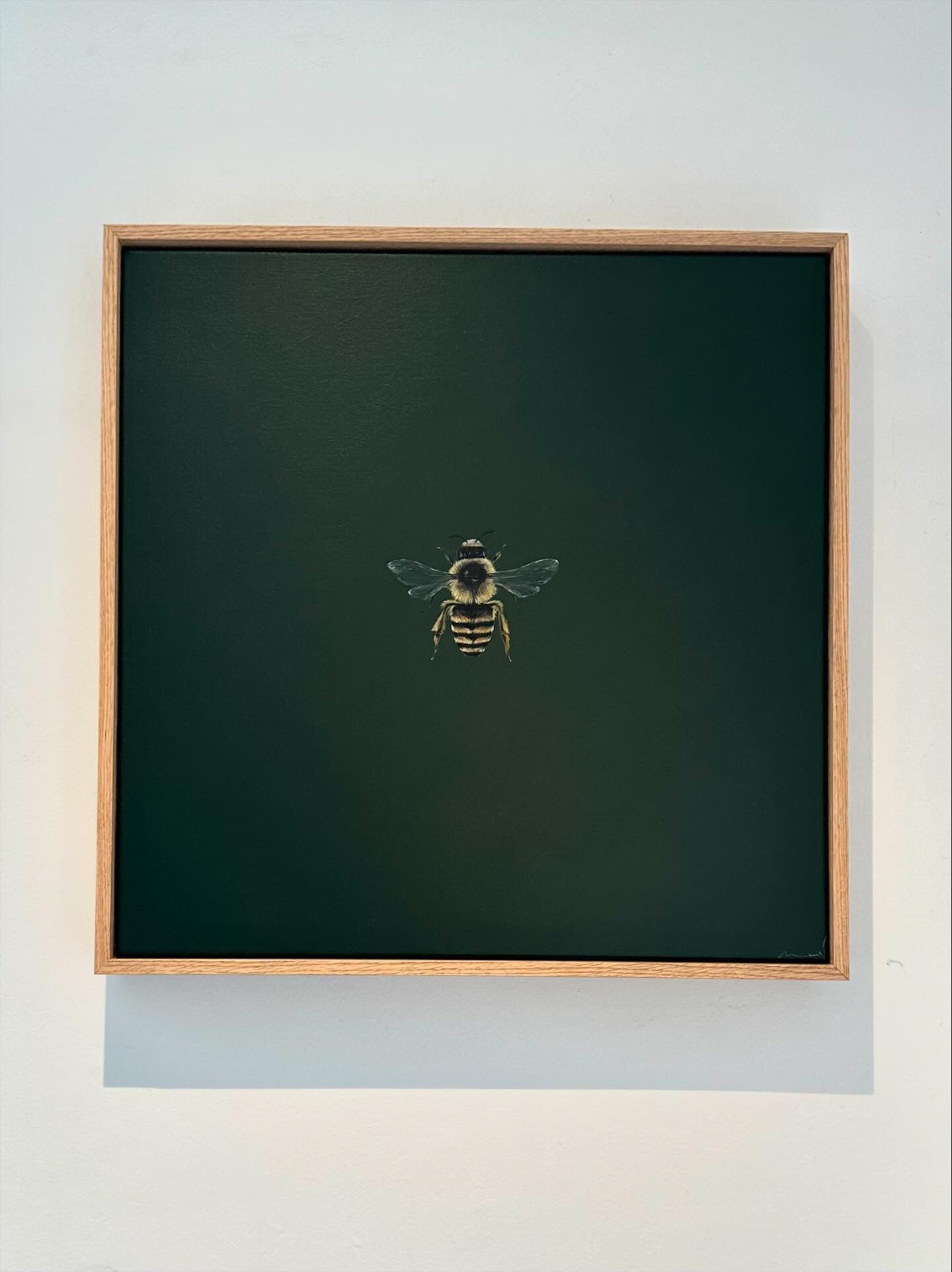 Monique Correy - Bossy