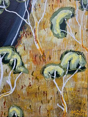 Sam Patterson-Smith - Strange Lookin' Bull