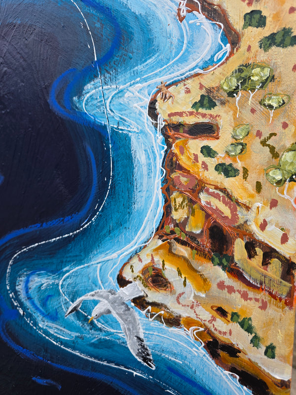 Sam Patterson-Smith - Gulls Eye View