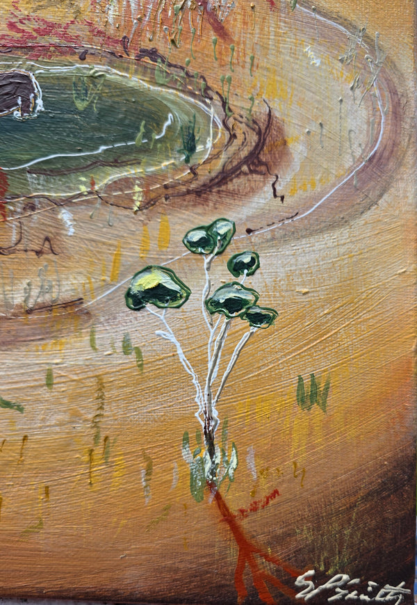 Sam Patterson-Smith - Dry Season (Paddock Oasis)