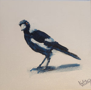 Kylie Van Tol - Magpie curious 1