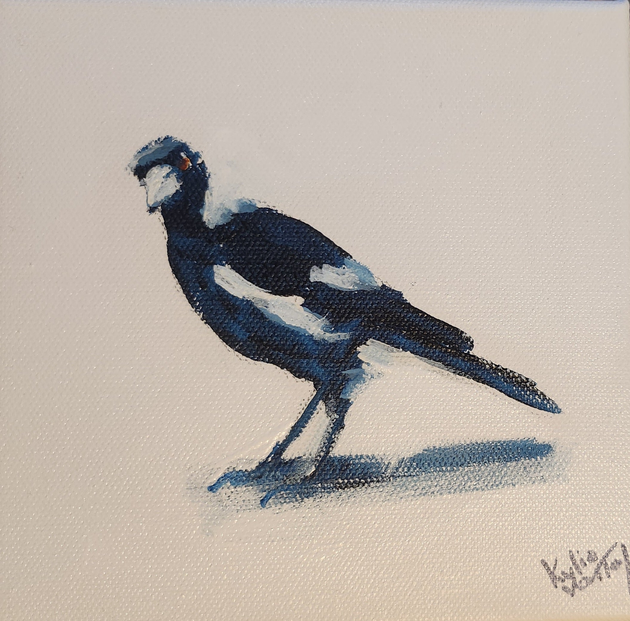 Kylie Van Tol - Magpie curious 1