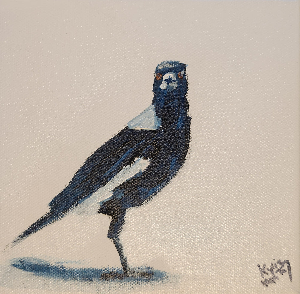 Kylie Van Tol - Curious magpie 2