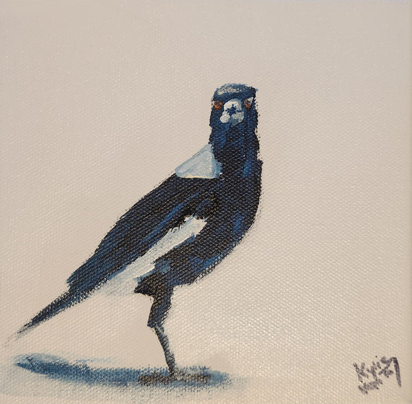 Kylie Van Tol - Curious magpie 2