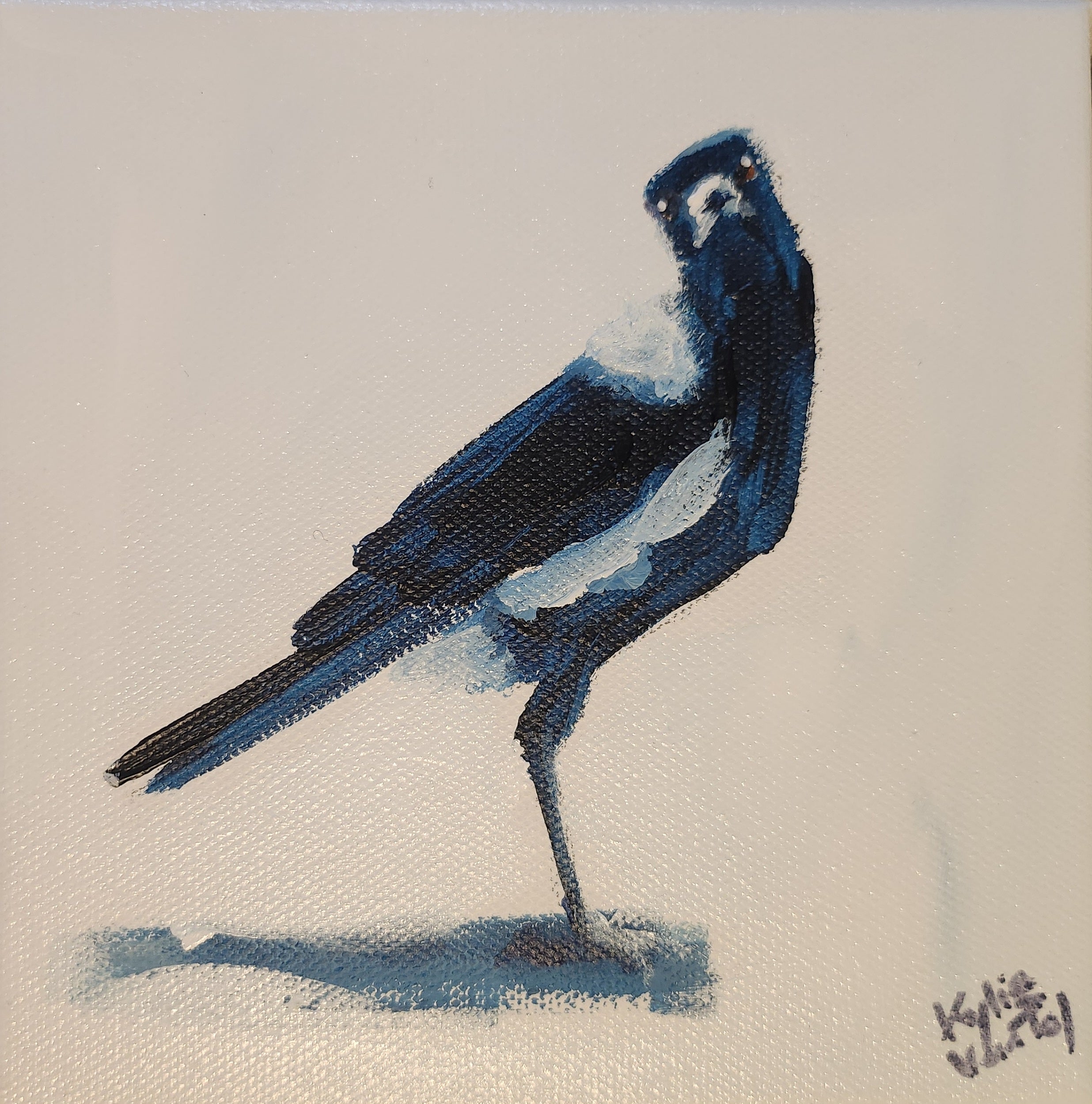 Kylie Van Tol - Curious magpie 3
