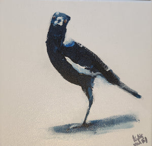 Kylie Van Tol - Curious magpie 4