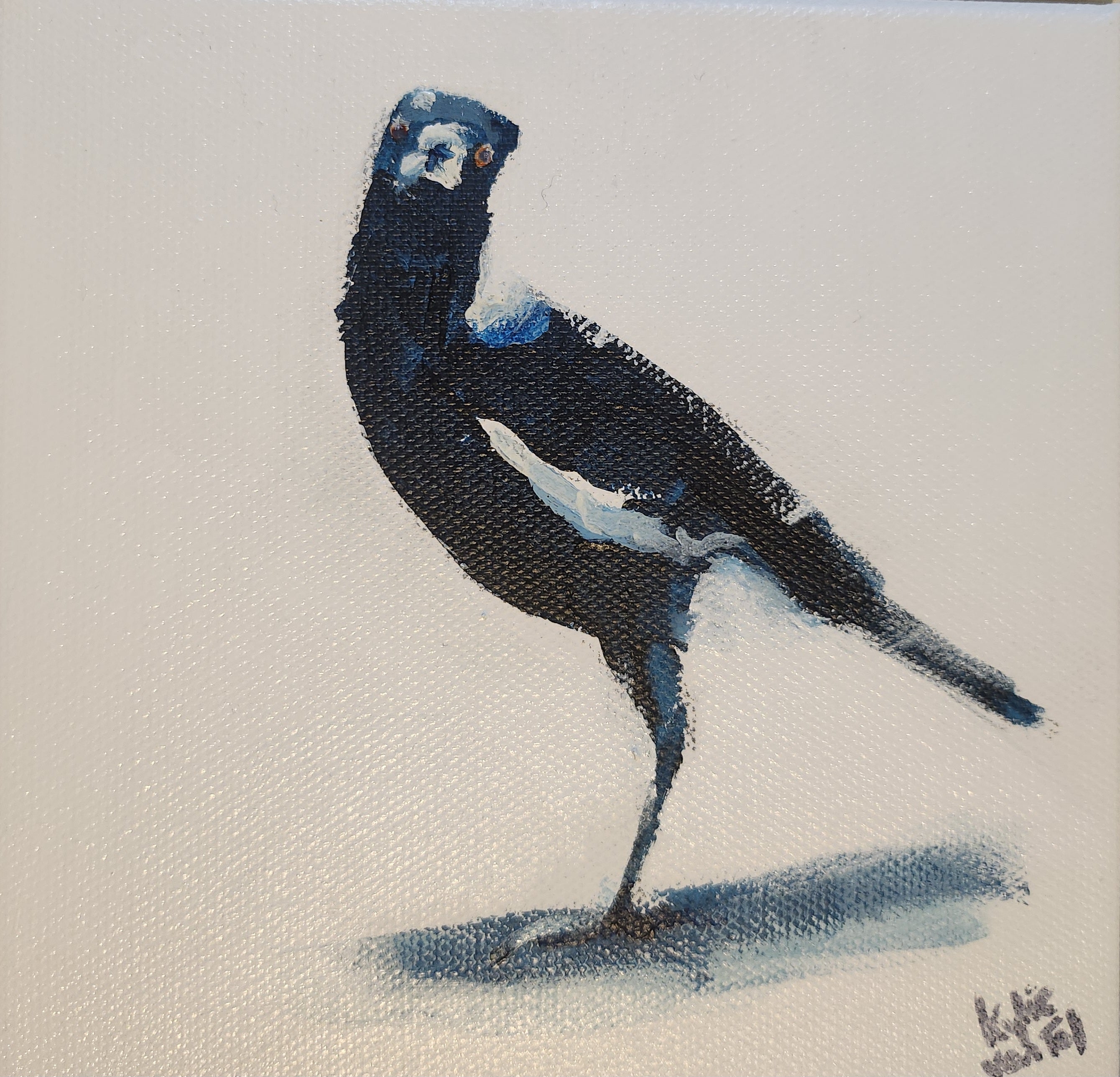 Kylie Van Tol - Curious magpie 4