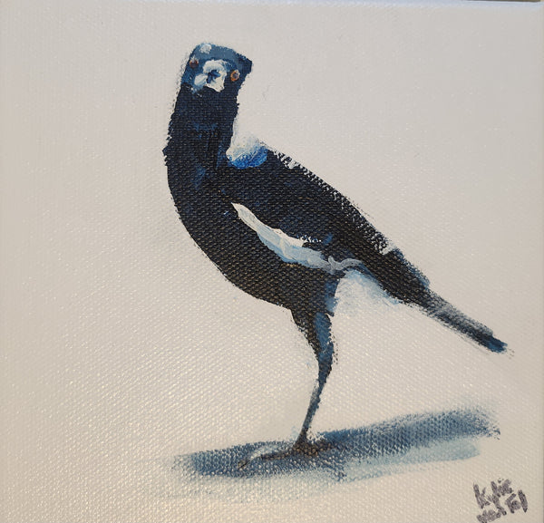 Kylie Van Tol - Curious magpie 4