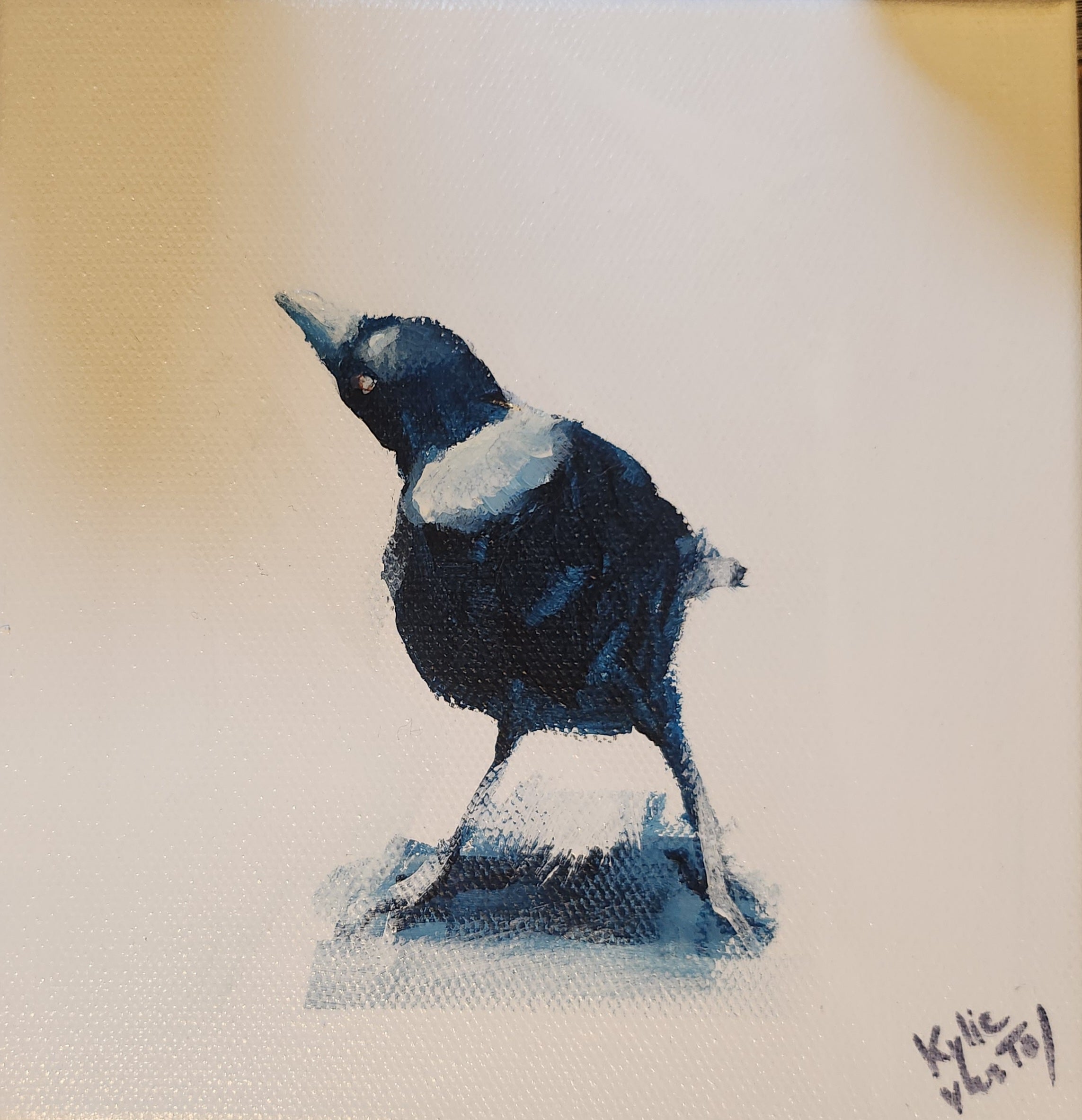 Kylie Van Tol - Curious magpie 7