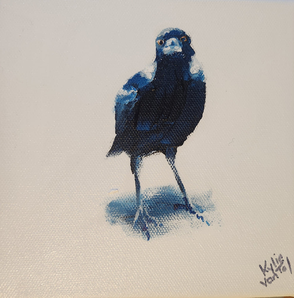 Kylie Van Tol - Curious magpie 8