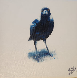 Kylie Van Tol - Curious magpie 8