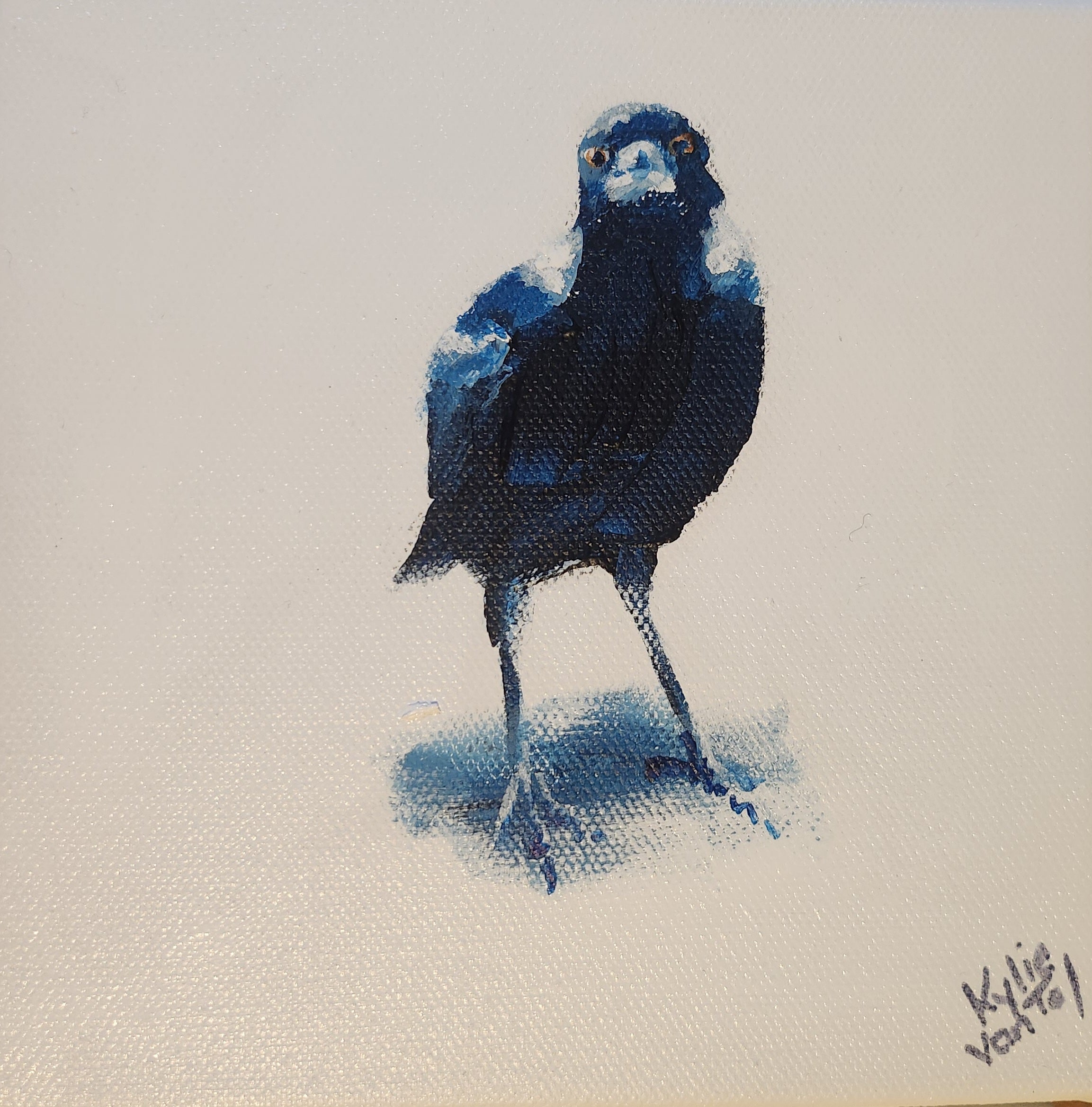Kylie Van Tol - Curious magpie 8