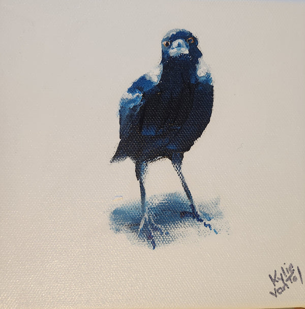 Kylie Van Tol - Curious magpie 8