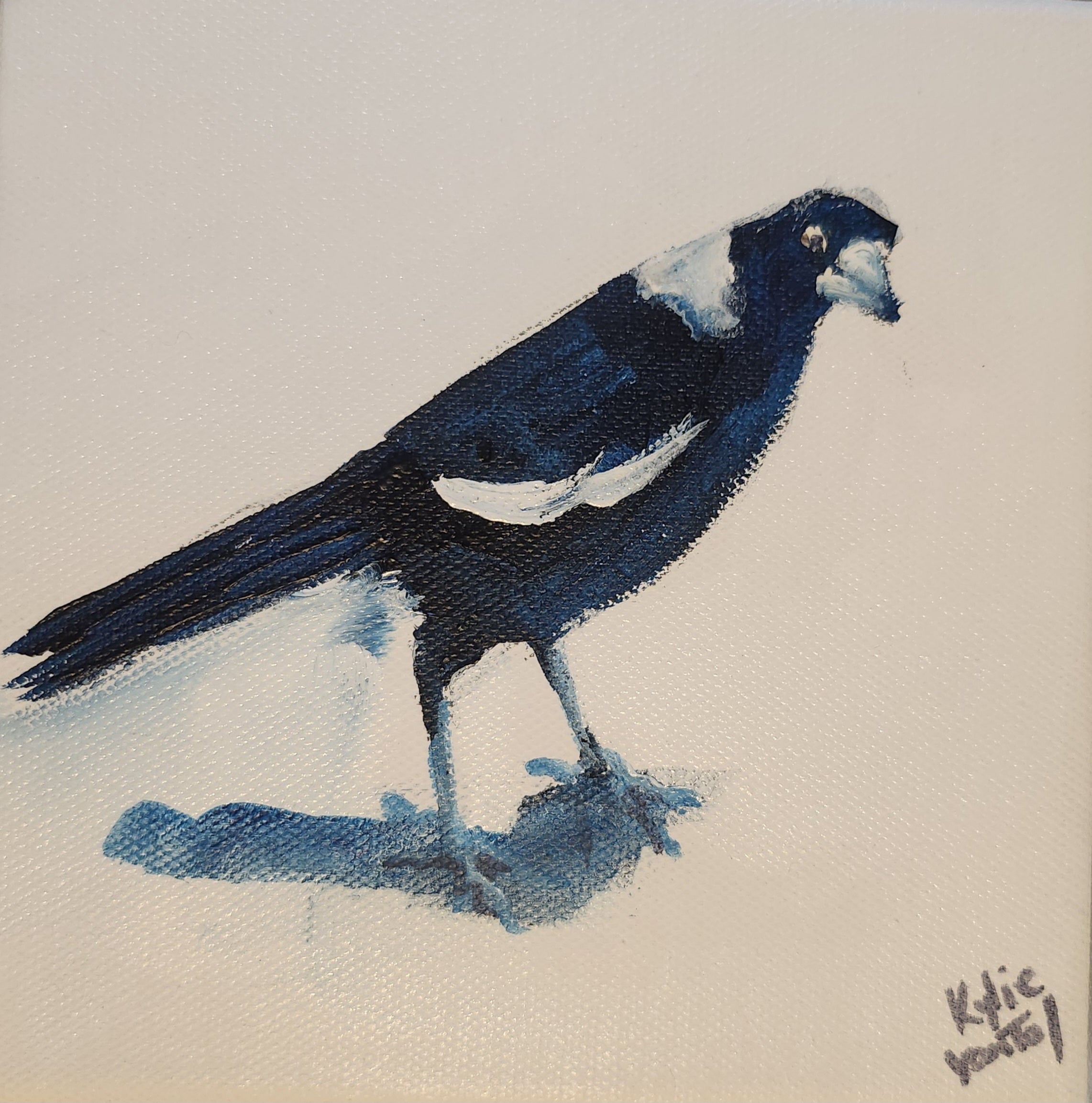 Kylie Van Tol - Curious magpie 9