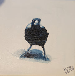 Kylie Van Tol - Curious magpie 10