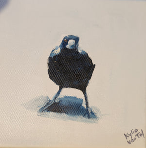 Kylie Van Tol - Curious magpie 10