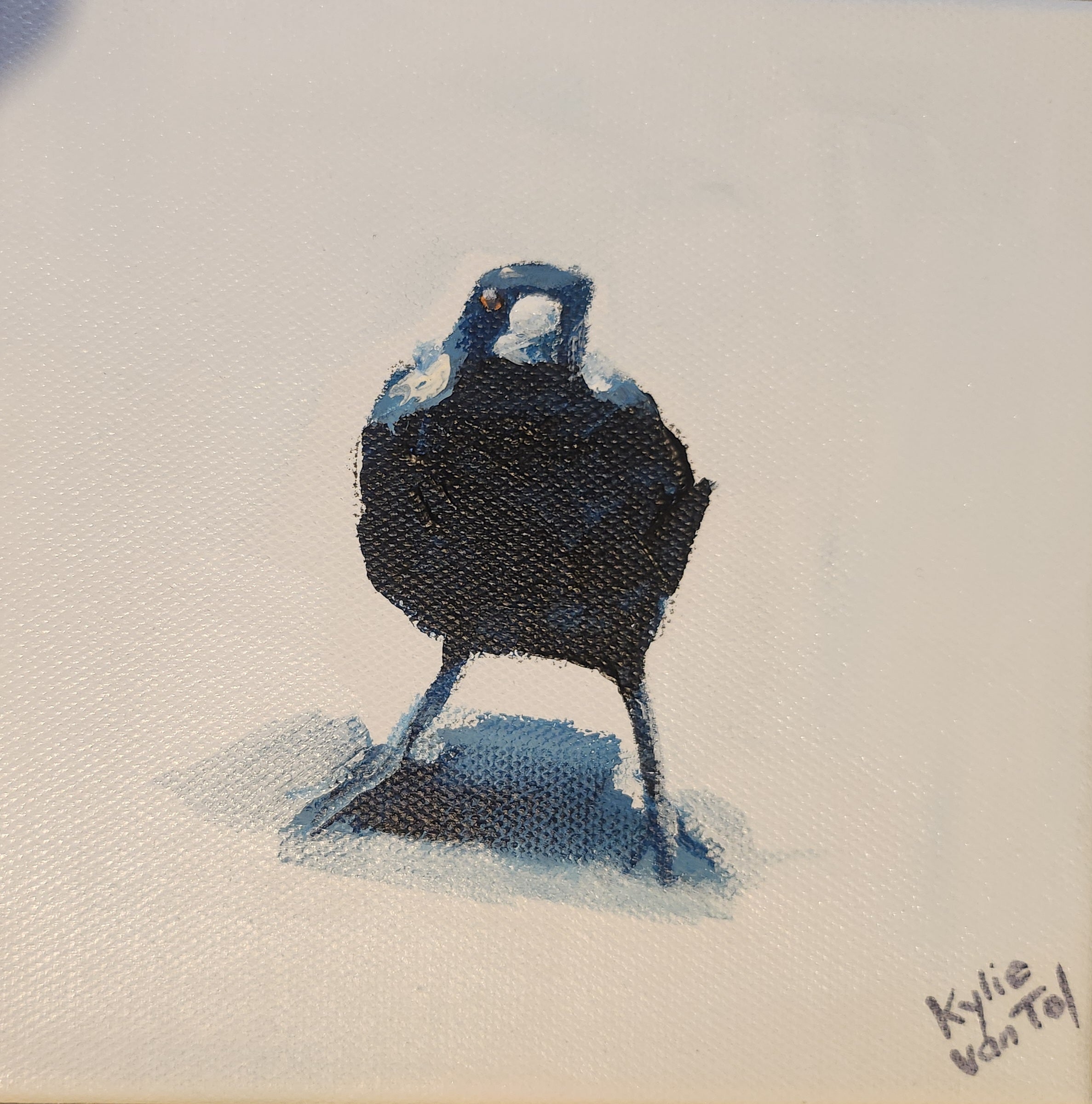 Kylie Van Tol - Curious magpie 10