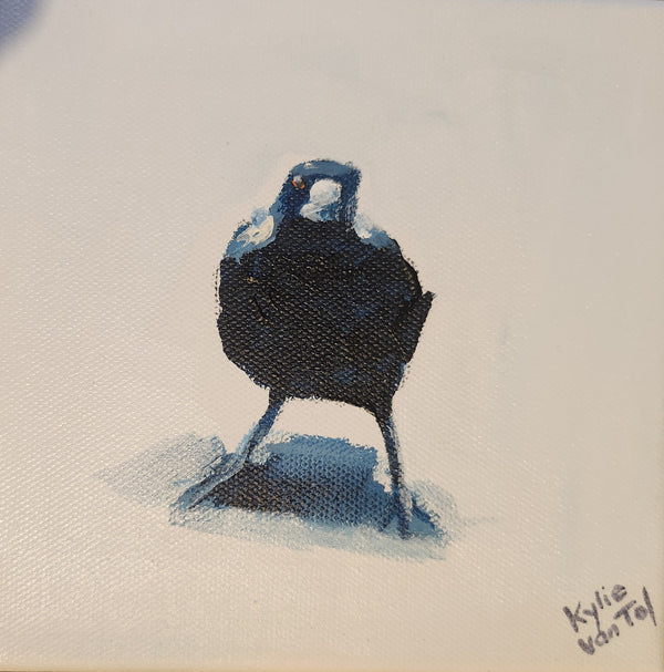 Kylie Van Tol - Curious magpie 10
