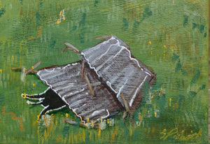 Sam Patterson-Smith - The Day The Old Shed Fell