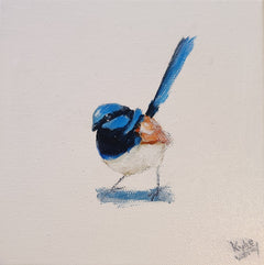 Kylie Van Tol - Blue wren 1 AAF