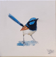 Kylie Van Tol - Blue wren 2 AAF