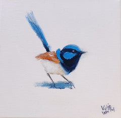 Kylie Van Tol - Blue wren 3 AAF