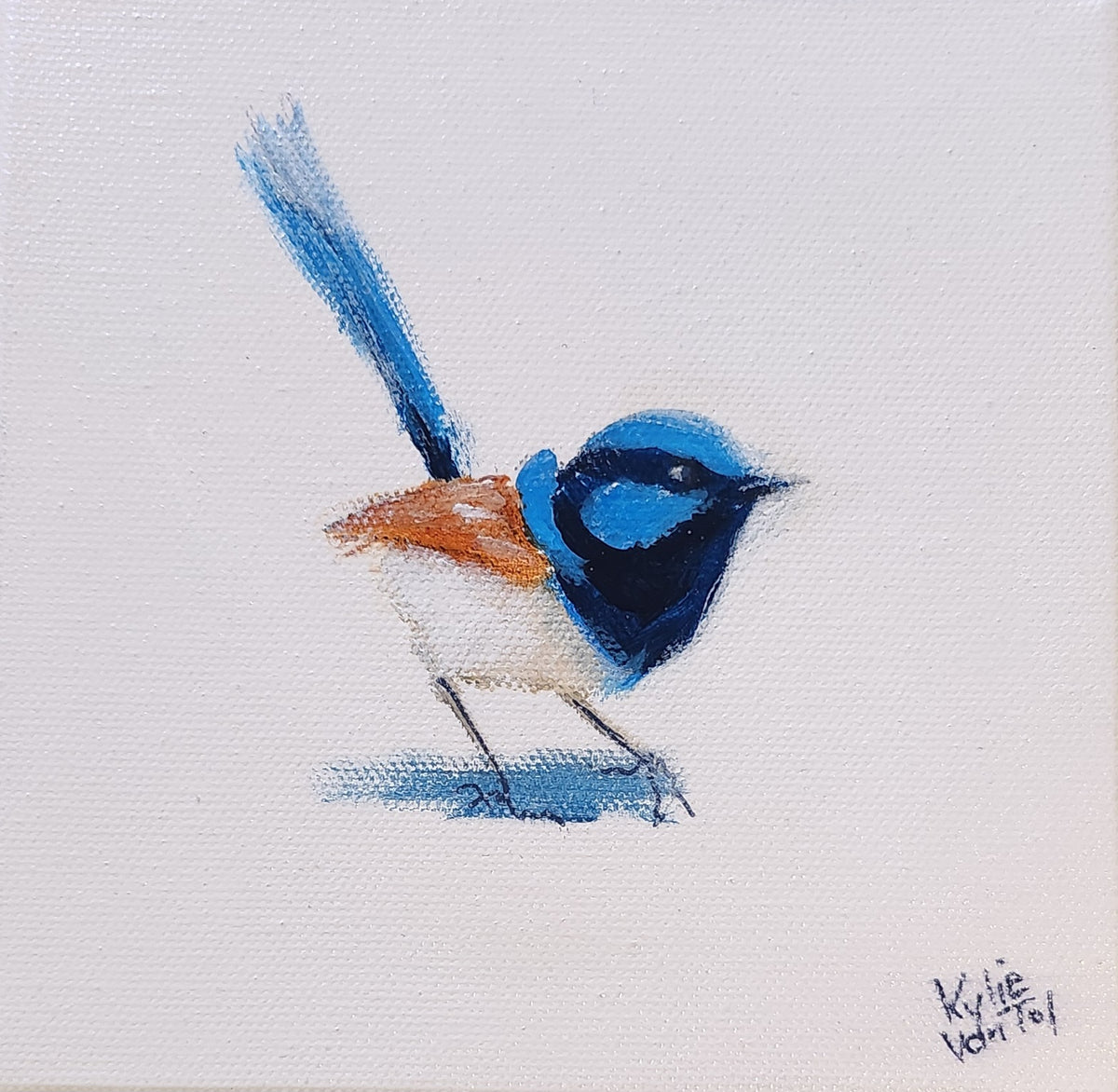 Kylie Van Tol - Blue wren 3 AAF