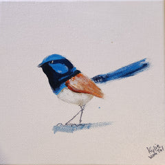 Kylie Van Tol - Blue wren 4 AAF