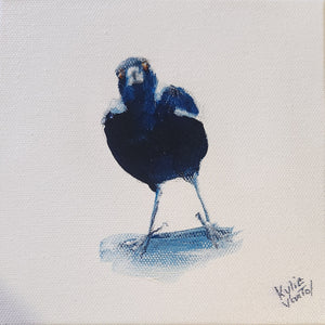Kylie Van Tol - Mini magpie 1 AAF