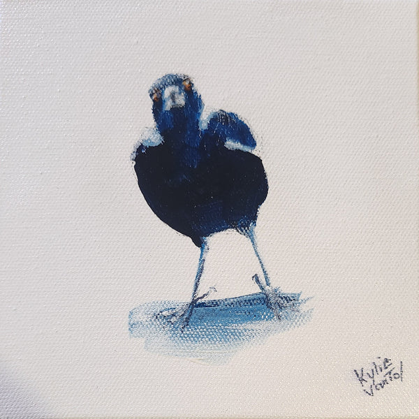 Kylie Van Tol - Mini magpie 1 AAF