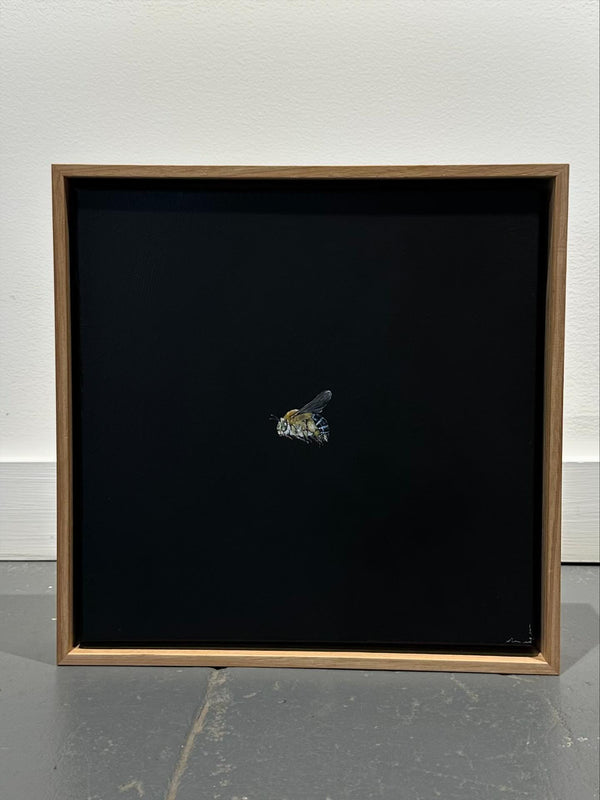 Monique Correy - Bloop