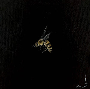 Monique Correy - Ace