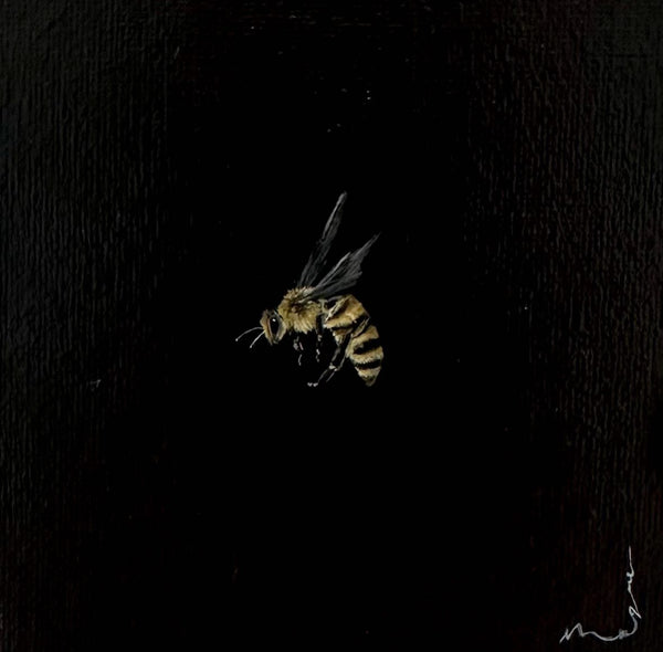 Monique Correy - Ace