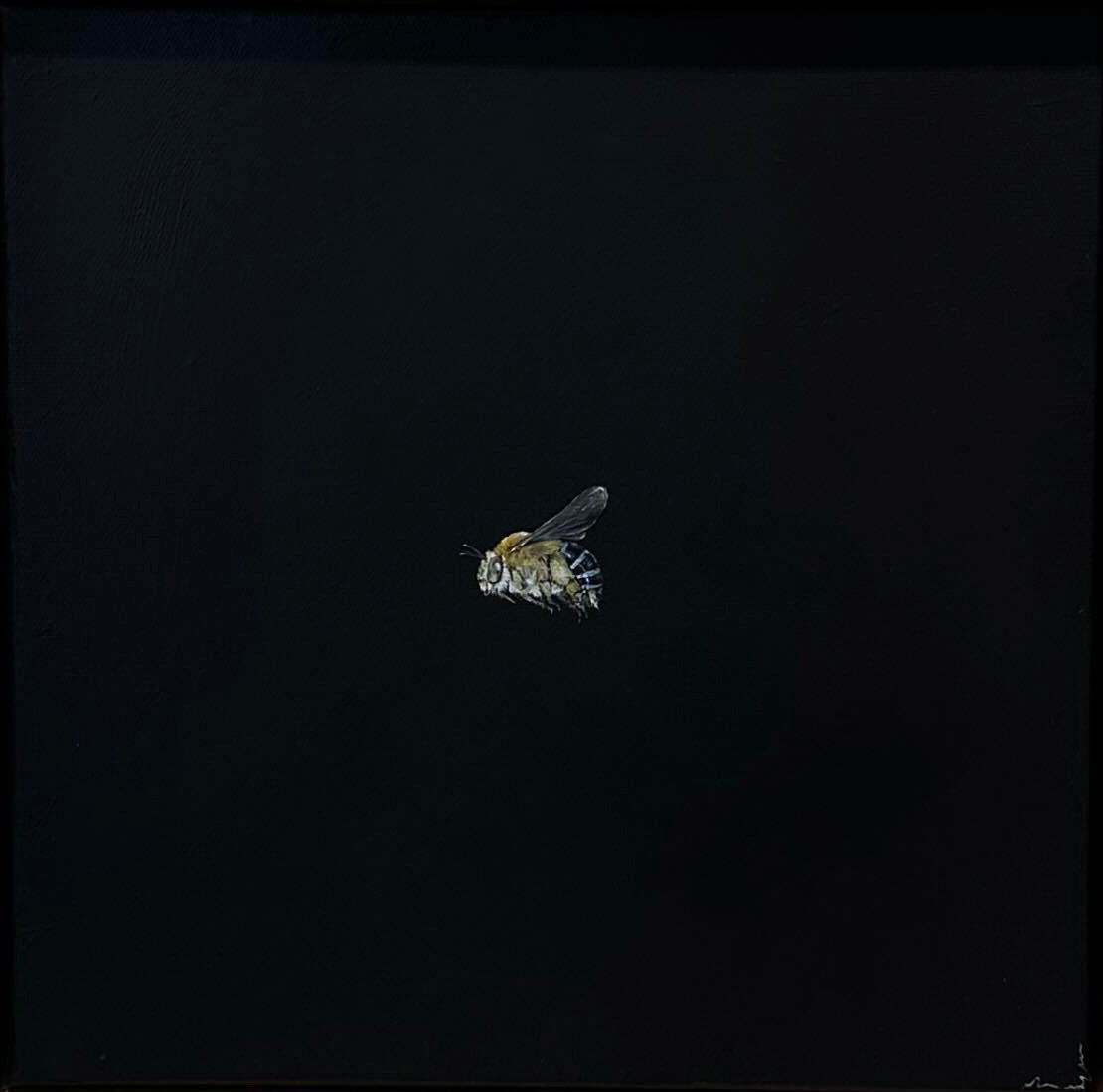 Monique Correy - Bloop