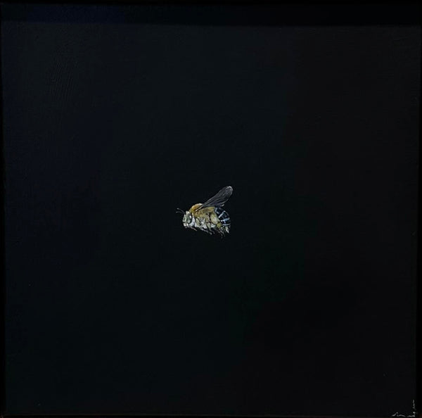 Monique Correy - Bloop