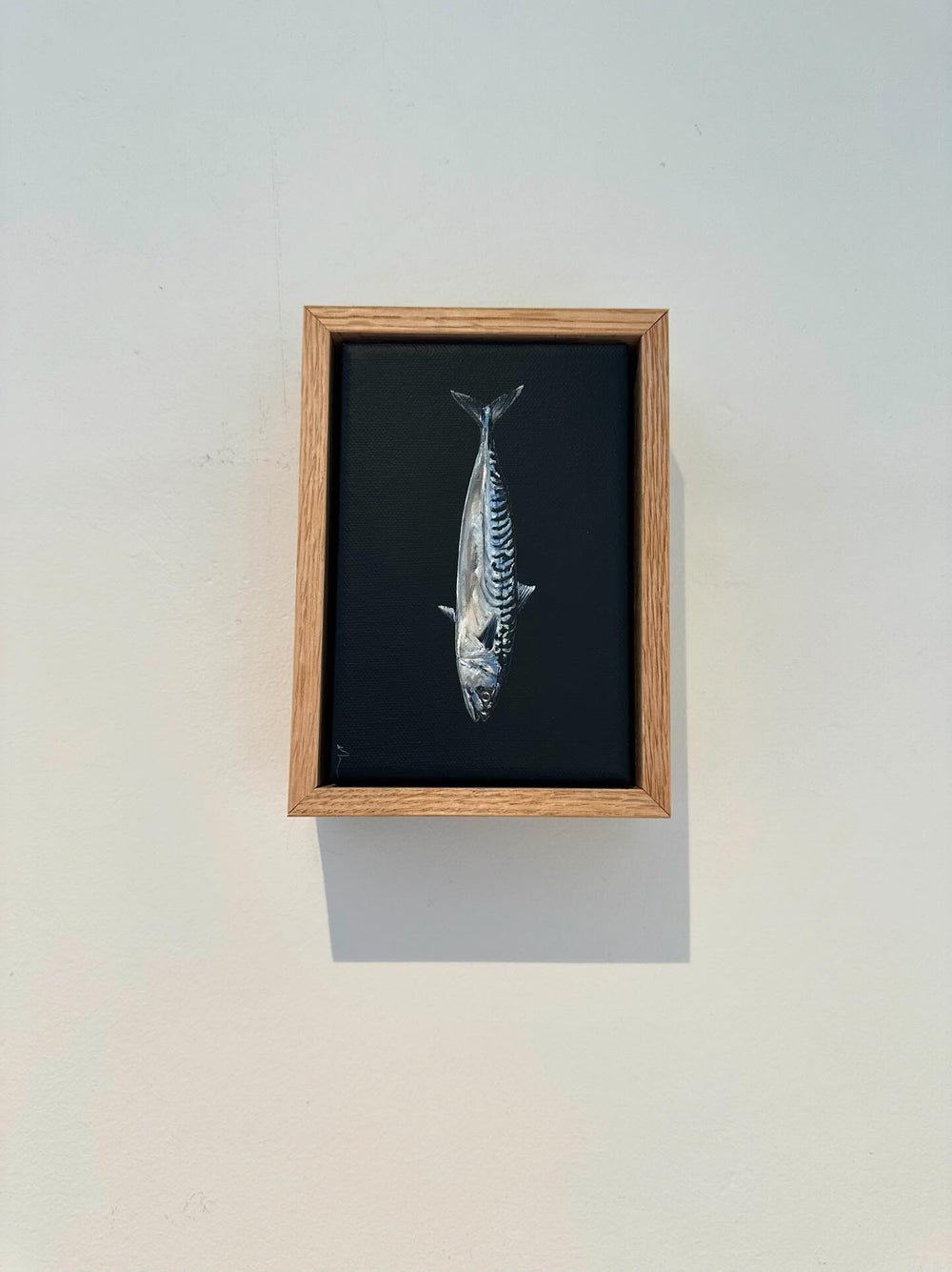 Monique Correy - Little Miss