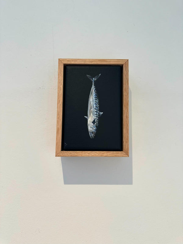 Monique Correy - Little Miss