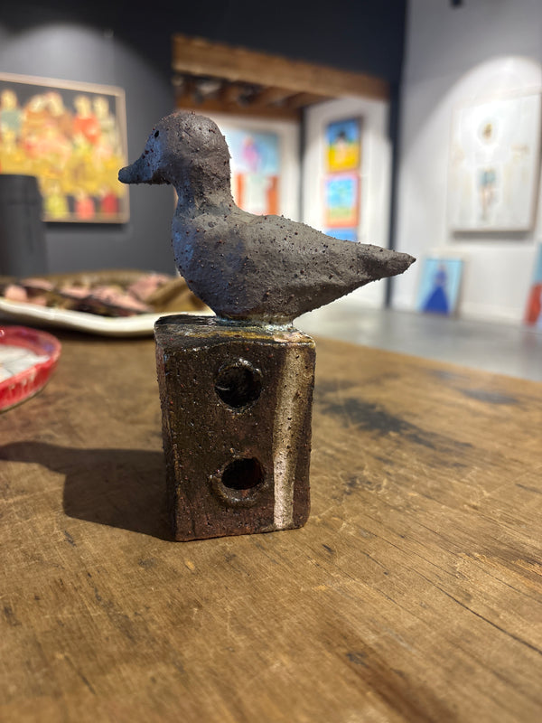 Kalyanii Holden- Duck on Brick