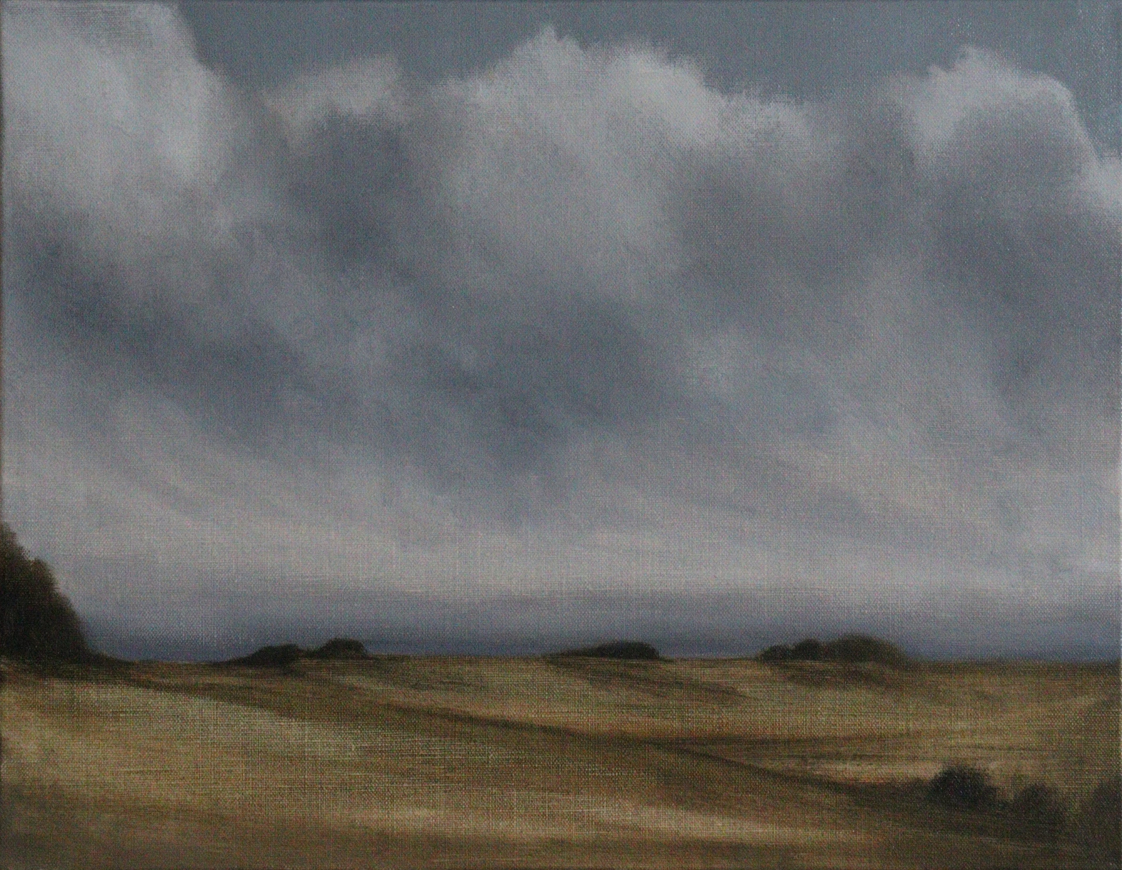 Jessica Olpp - Campagne sous un ciel nuageux