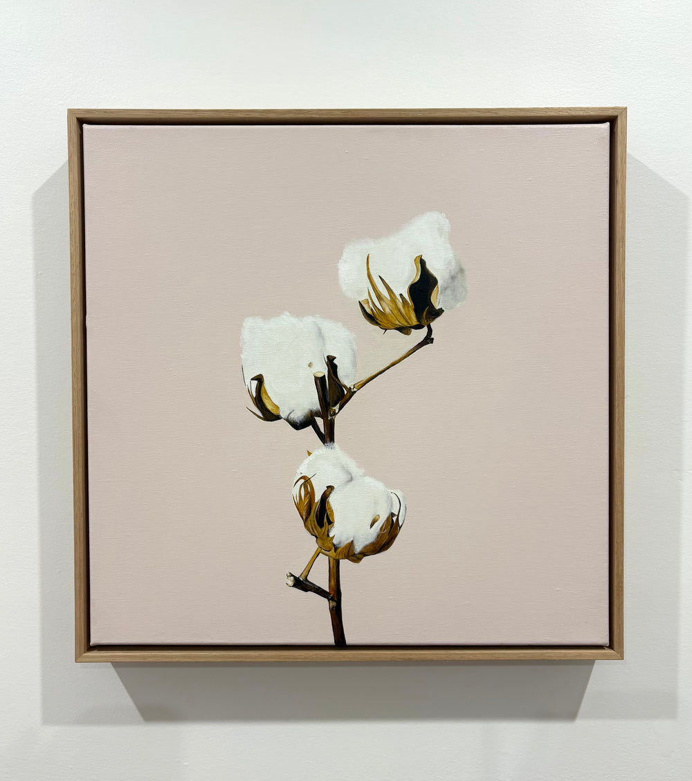 Gabi Lord - Cotton candy