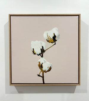 Gabi Lord - Cotton candy