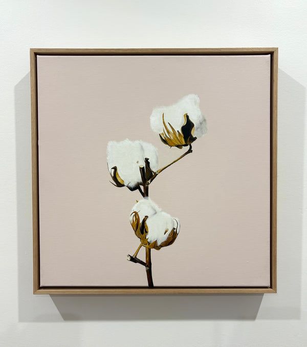 Gabi Lord - Cotton candy