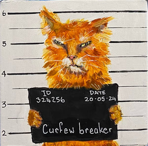 Karen Gray - Curfew breaker